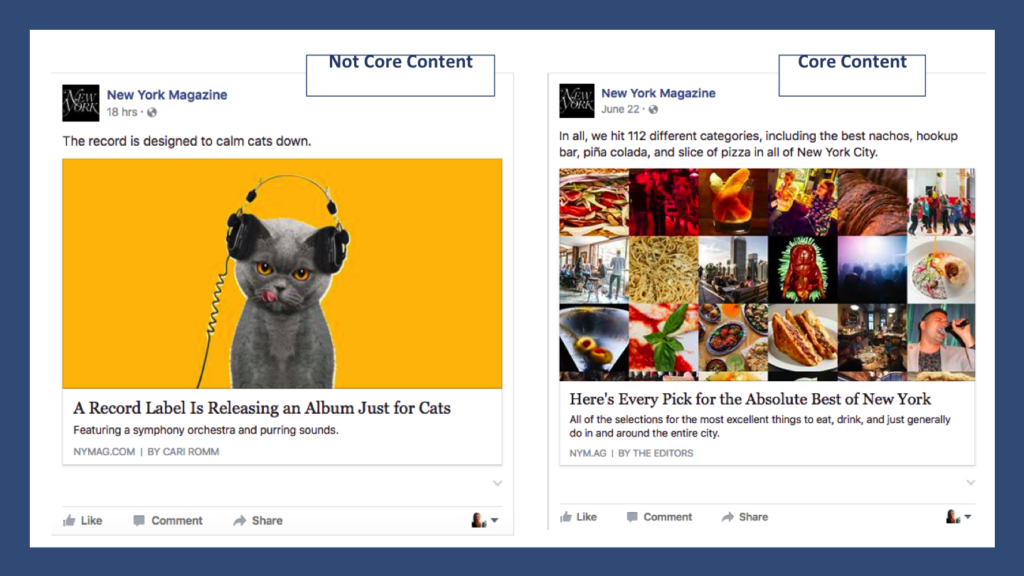 Example of Core Audience Facebook Posts